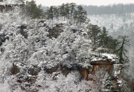 Snow on the Rough Trail